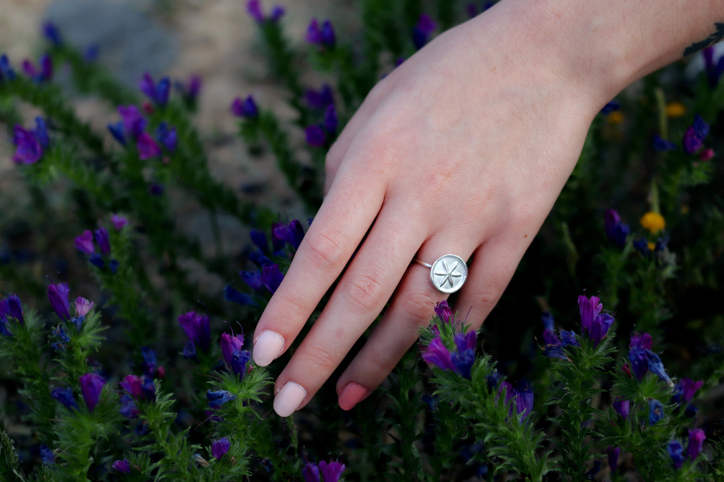 Anillo de plata Roseta Hexafolia